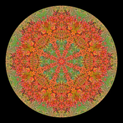 Kaleidoscope created with autumn leaves at a parc near the castle