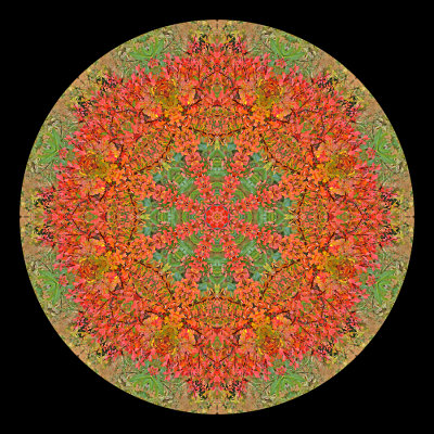 g12/54/24354/3/172118979.6KY4WxZO.jpg