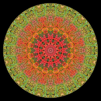 Kaleidoscope created with autumn leaves at a parc near the castle