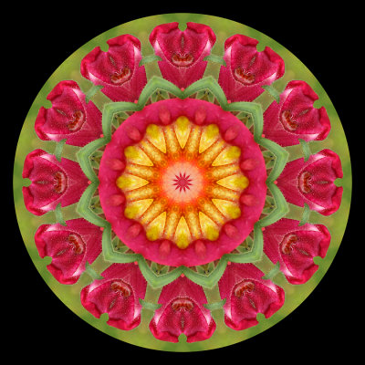 Kaleidoscope created with a flower near the castle