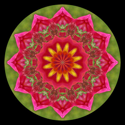 Kaleidoscope created with a flower near the castle