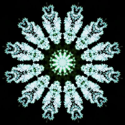 Kaleidoscopic picture created with frozen green leaf covered with ice crystals