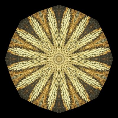 Kaleidoscope created with a tree trunk seen in December in the forest