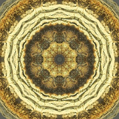 Kaleidoscope created with a tree trunk seen in December in the forest