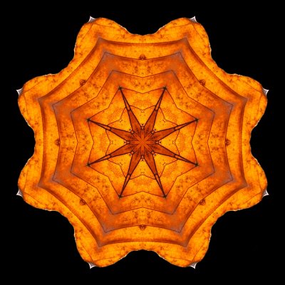 Kaleidoscopic picture created with a leaf seen in the forest on New Year's day