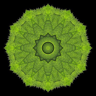 Kaleidoscopic picture created with a leaf seen in the forest on New Years day