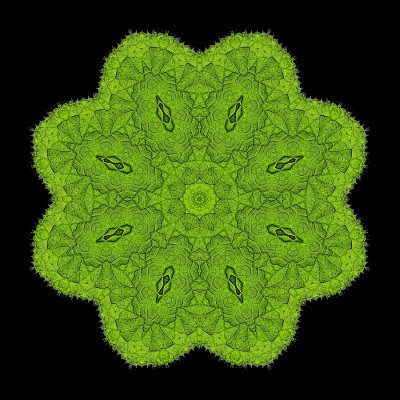 Evolved kaleidoscopic picture created with a leaf seen in the forest on New Year's day
