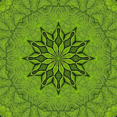 Evolved kaleidoscopic picture created with a leaf seen in the forest on New Year's day