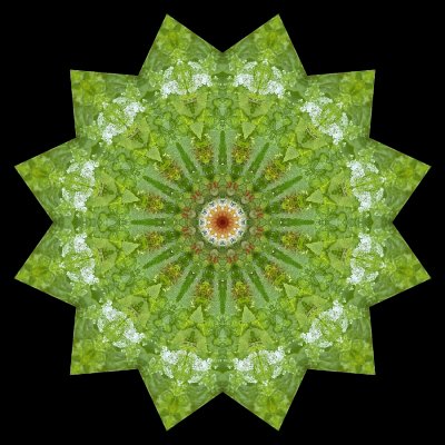 Kaleidoscopic picture created with a leaf with small patches of snow seen in the forest