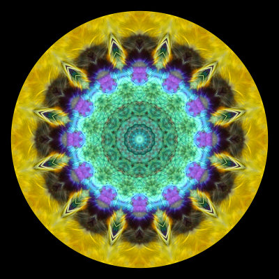 Kaleidoscope created with a small colored bird seen in Addis Ababa