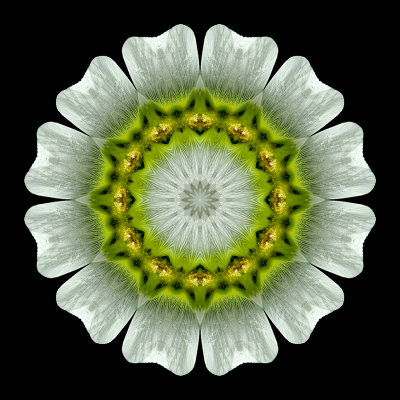 g12/54/24354/3/172314239.XDw5vqno.jpg