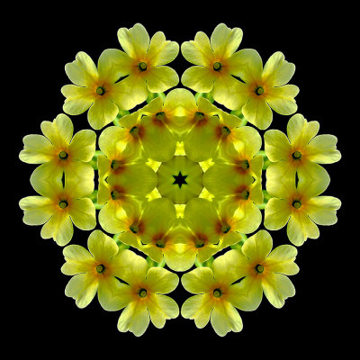 g12/54/24354/3/172316729.B0ugpDKX.jpg