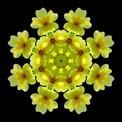 Kaleidoscopic picture created with wild flowers (Primula veris) seen in the forest in spring