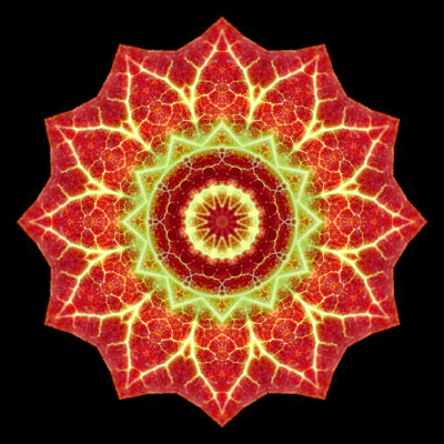 Kaleidoscopic picture created with an ivy leaf seen in the forest in February