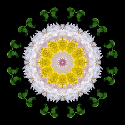 Kaleidoscopic picture created with a flower seen in Lugano