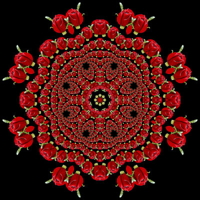 An evolved kaleidoscopic picture created with a small red rose