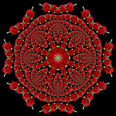 An evolved kaleidoscopic picture created with a small red rose