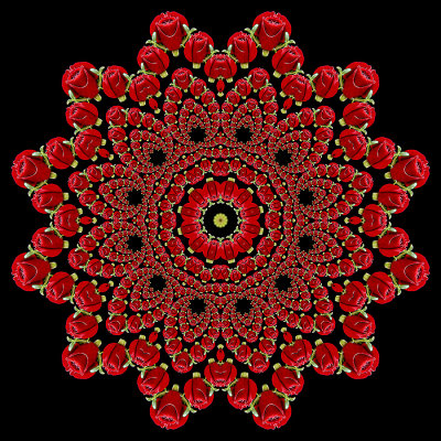 An evolved kaleidoscopic picture created with a small red rose