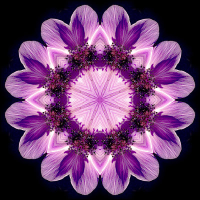 Kaleidoscopic picture created with a small flower