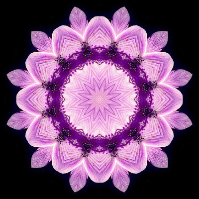 Kaleidoscopic picture created with a small flower
