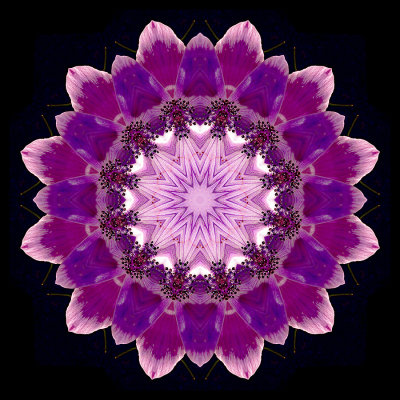 Kaleidoscopic picture created with a small flower