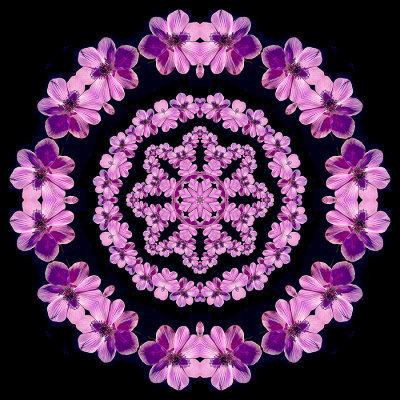 Evolved kaleidoscope created with a small flower