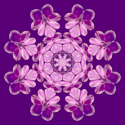 Evolved kaleidoscope created with a small flower