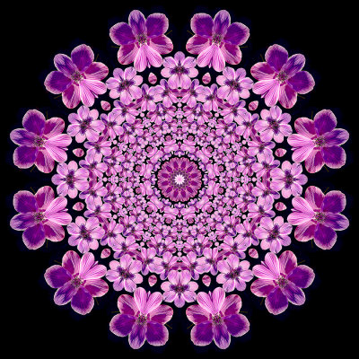 Evolved kaleidoscope created with a small flower