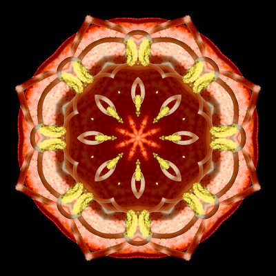Kaleidoscopic picture created with a flower