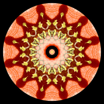 g12/54/24354/3/172387701.QMlGxApl.jpg