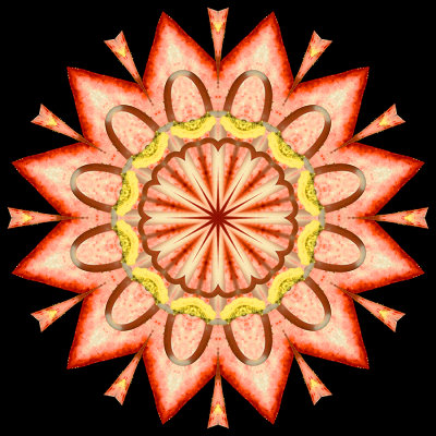 Kaleidoscopic picture created with a flower