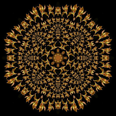 Evolved kaleidoscope created with sprouting leaves seen in March