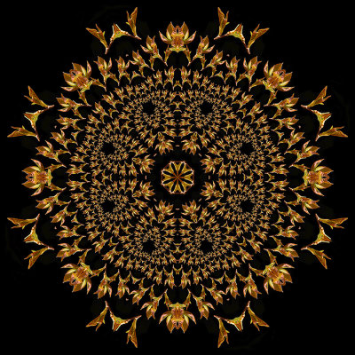 Evolved kaleidoscope created with sprouting leaves seen in March