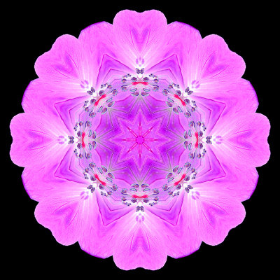 g12/54/24354/3/172595667.Eqy6ACHl.jpg