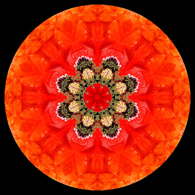 g12/54/24354/3/172625676.kRyMPOYe.jpg