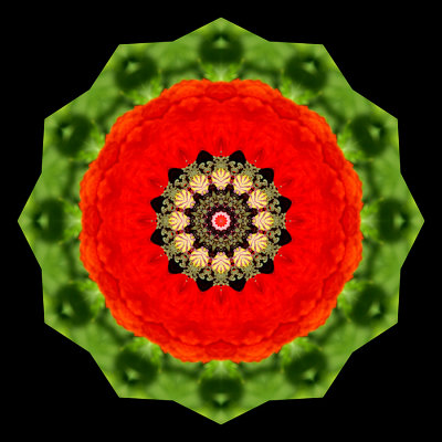 Kaleidoscopic picture created with a wild poppy flower seen in May