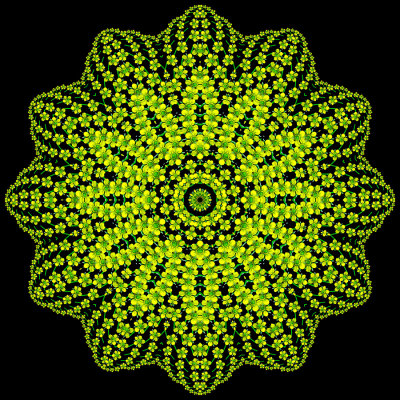 Evolved kaleidoscope created with a small yellow wildflower seen in May