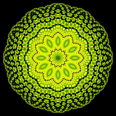 Evolved kaleidoscope created with a small yellow wildflower seen in May