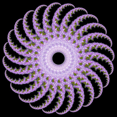 Spiral creation with a wildflower seen in May