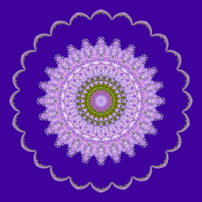 Evolved kaleidoscope created with a wildflower seen in May