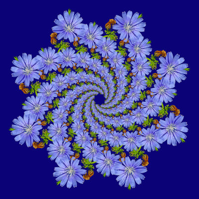g12/54/24354/3/172751489.6qxPs0mz.jpg