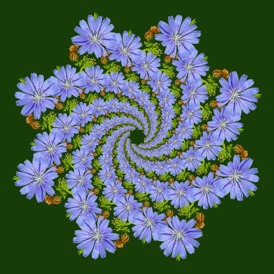 g12/54/24354/3/172751490.V8piRAo2.jpg