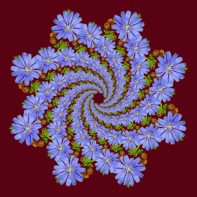 g12/54/24354/3/172751491.BxFUHnyR.jpg