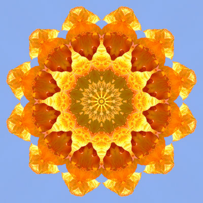 Kaleidoscopic picure created with a flower seen in Locarno 12 September