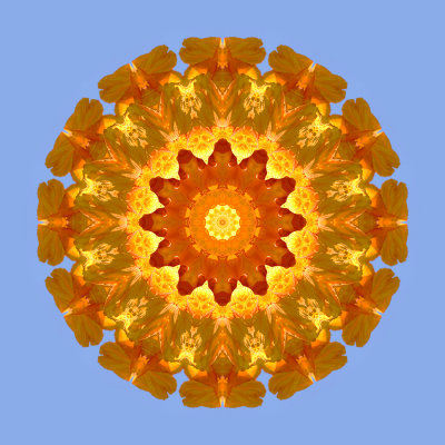 Kaleidoscopic picure created with a flower seen in Locarno 12 September