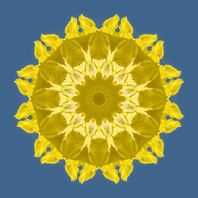 Kaleidoscopic picure created with a flower seen in Locarno 12 September