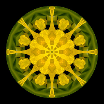g12/54/24354/3/172975858.3qmgF58A.jpg