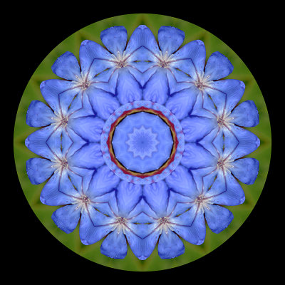 Kaleidoscopic picure created with a flower seen in Locarno in September