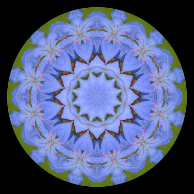 g12/54/24354/3/172979109.mMMopjIC.jpg