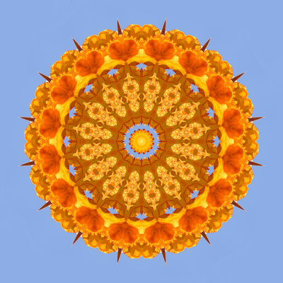 Evolved kaleidoscopic picure created with a flower seen in Locarno in September